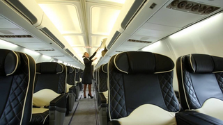Illustration for article titled Two more minor airlines shut down